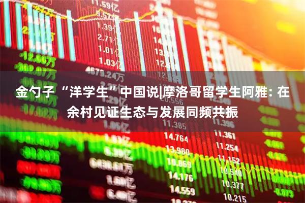 金勺子 “洋学生”中国说|摩洛哥留学生阿雅: 在余村见证生态与发展同频共振